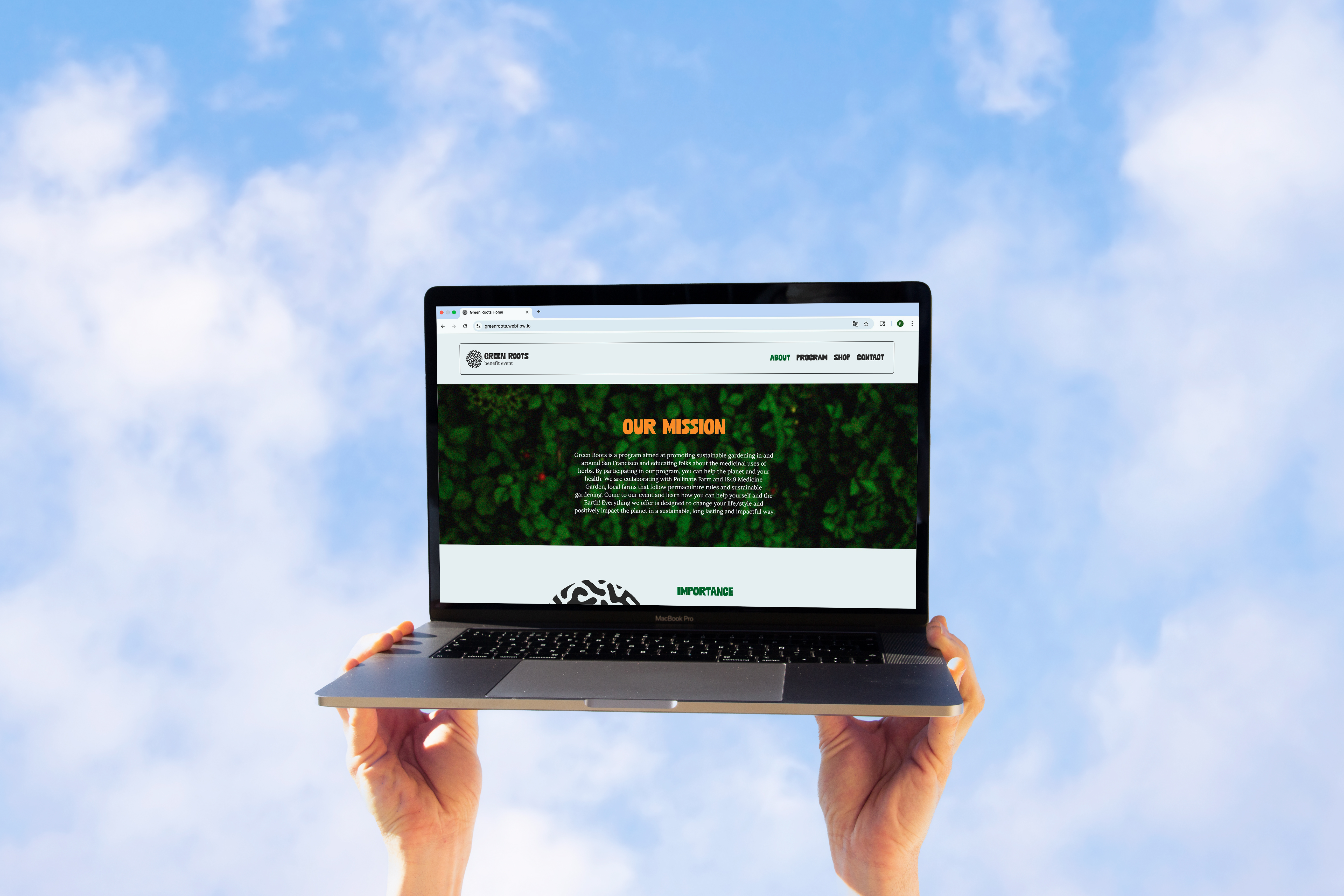 Green Roots thumbnail